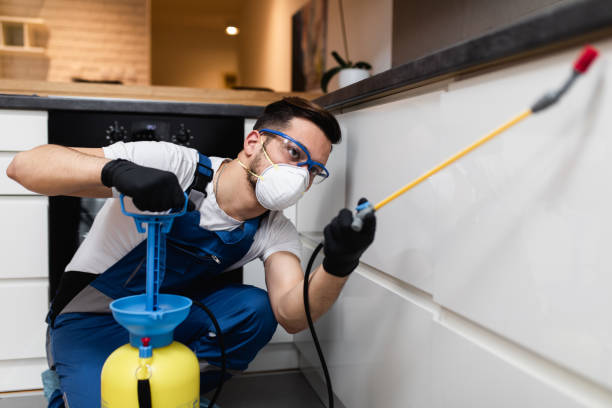 Best Emergency Pest Control  in Oskaloosa, IA