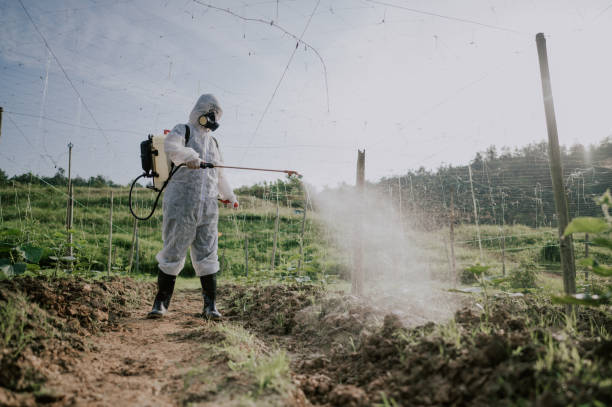 Best Local Pest Control Services  in Oskaloosa, IA