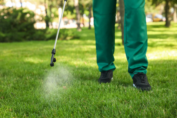 Best Pest Control for Businesses  in Oskaloosa, IA