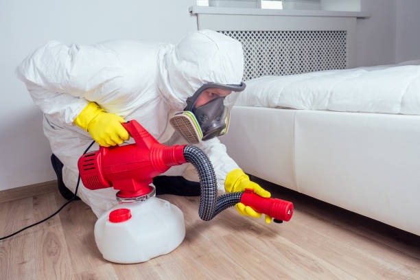 Best Bed Bug Extermination  in Oskaloosa, IA