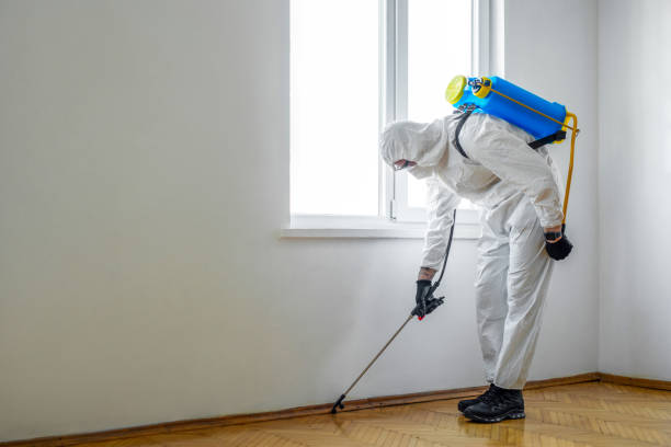 Best Pest Removal Services  in Oskaloosa, IA