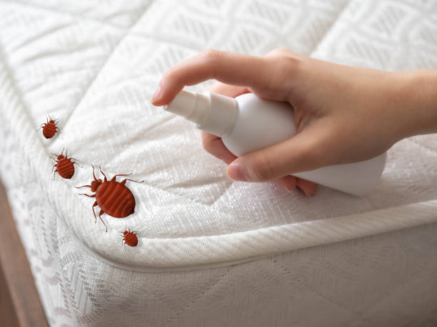 Best Commercial Pest Control Services  in Oskaloosa, IA
