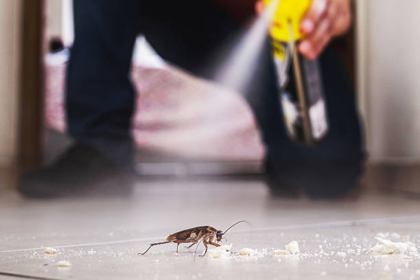 Best Exterminator Services  in Oskaloosa, IA