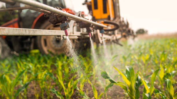 Best Pest Control for Homes  in Oskaloosa, IA